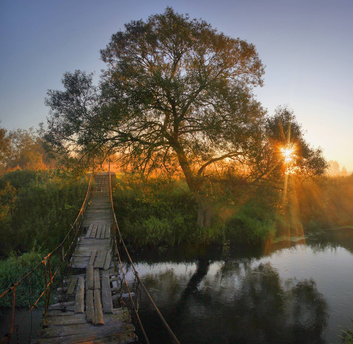 утро, река , мостик, Александр Свистков