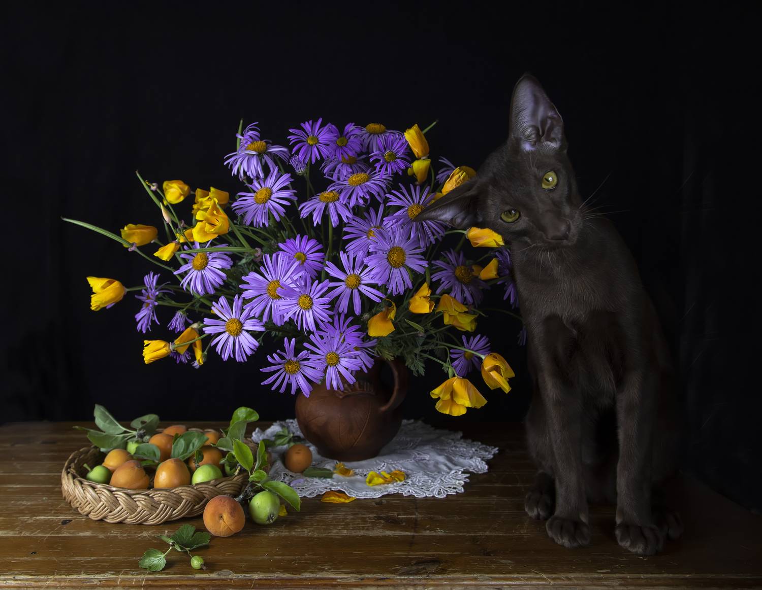 натюрморт, ромашки, эшшольция, абрикосы, яблоки, кот, ориентал, Татьяна Феденкова