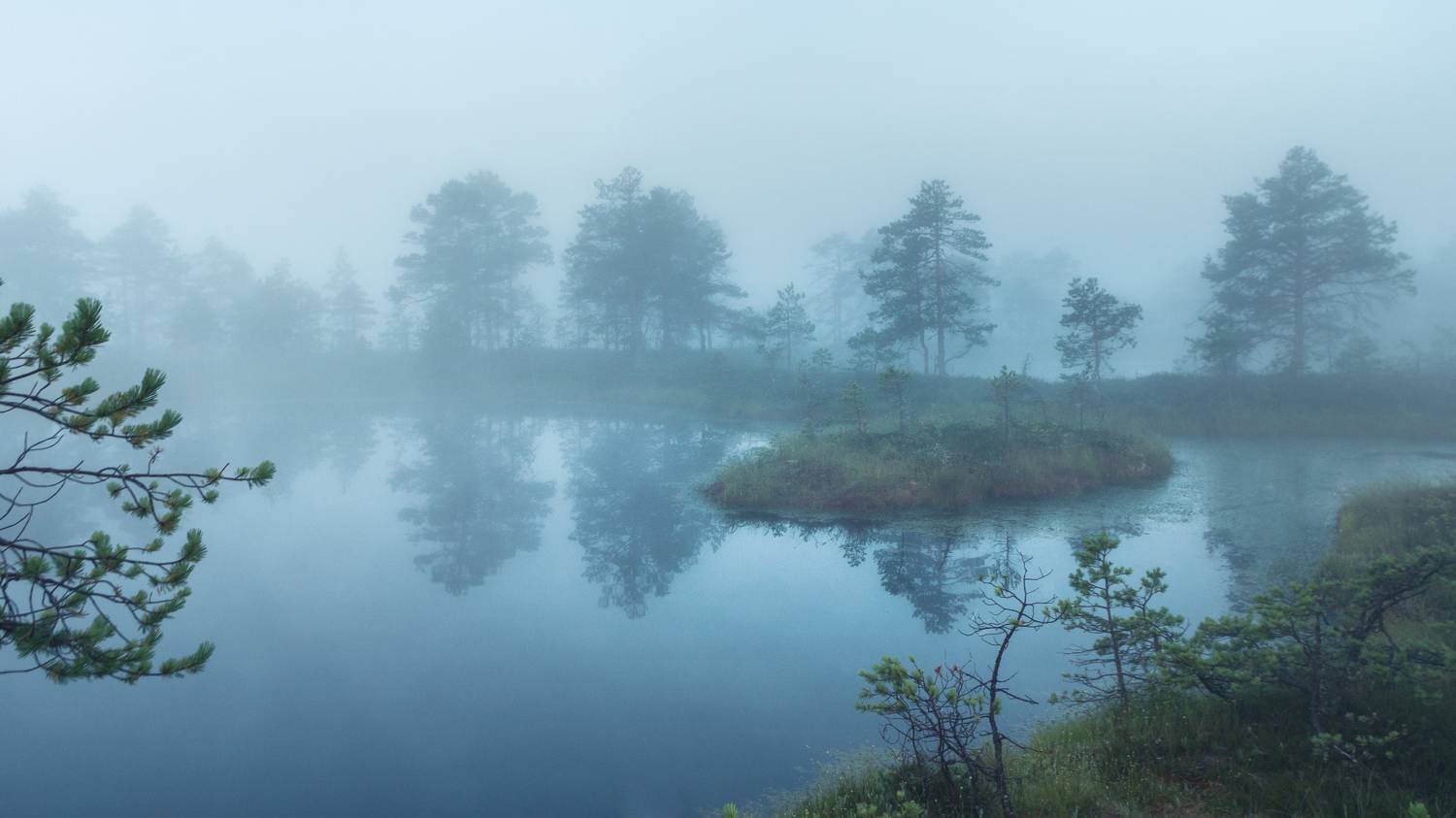 #eesti, #estonia, #visitestonia, #visiteesti, #harjumaa, #visitharju, #visitharjumaa, #sunrise, #sunrisephotography, #sunrise_sunset_photogroup, #sunrise_and_sunsets, #beautifuldestinations, #beautifulsunrise, #foggysunrise, #goldensunrise, #sunriseofthed, Nikolai Mordan