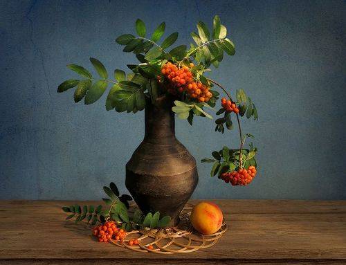 Рябина и персик