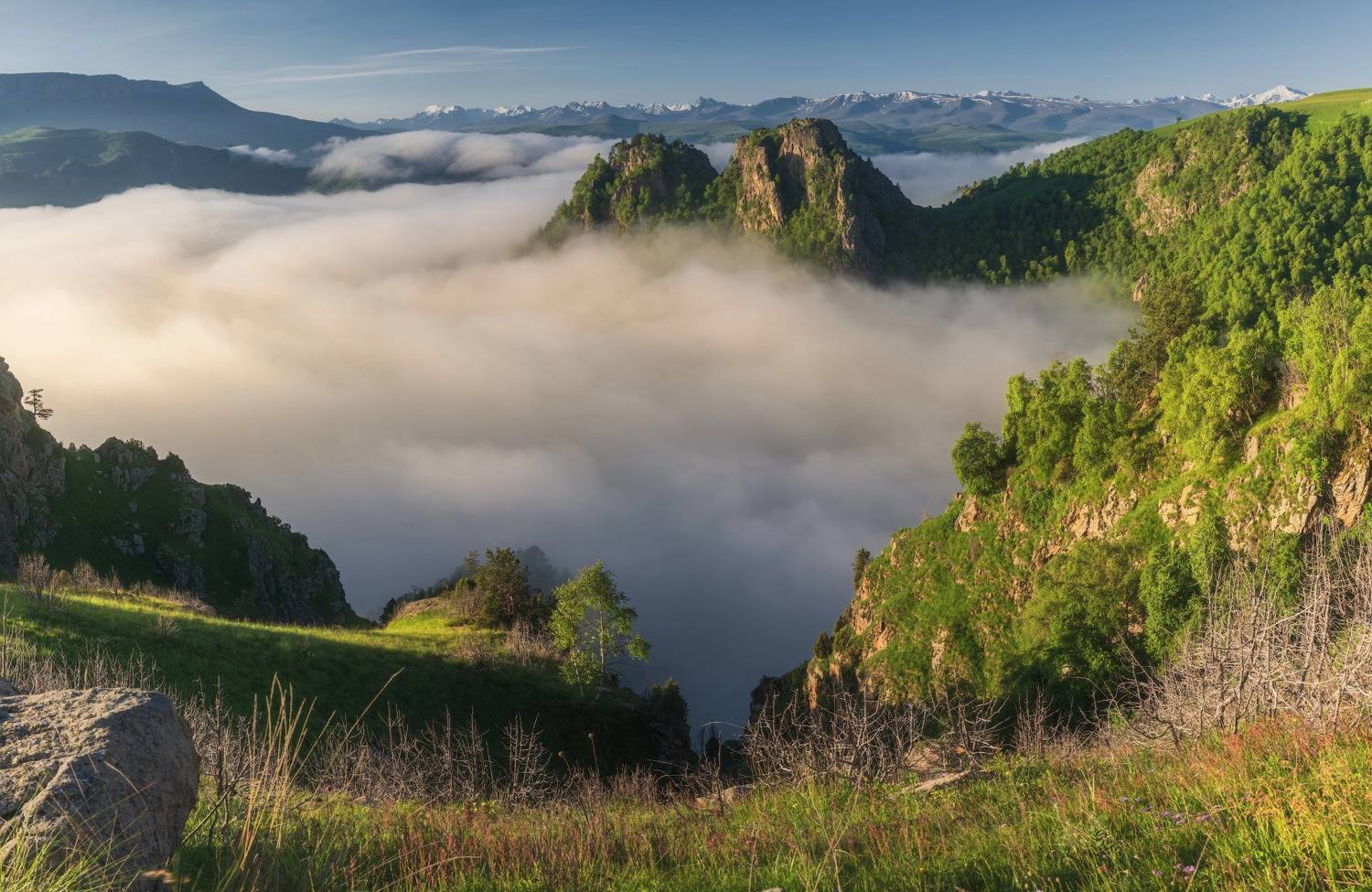 , Левыкин Виталий