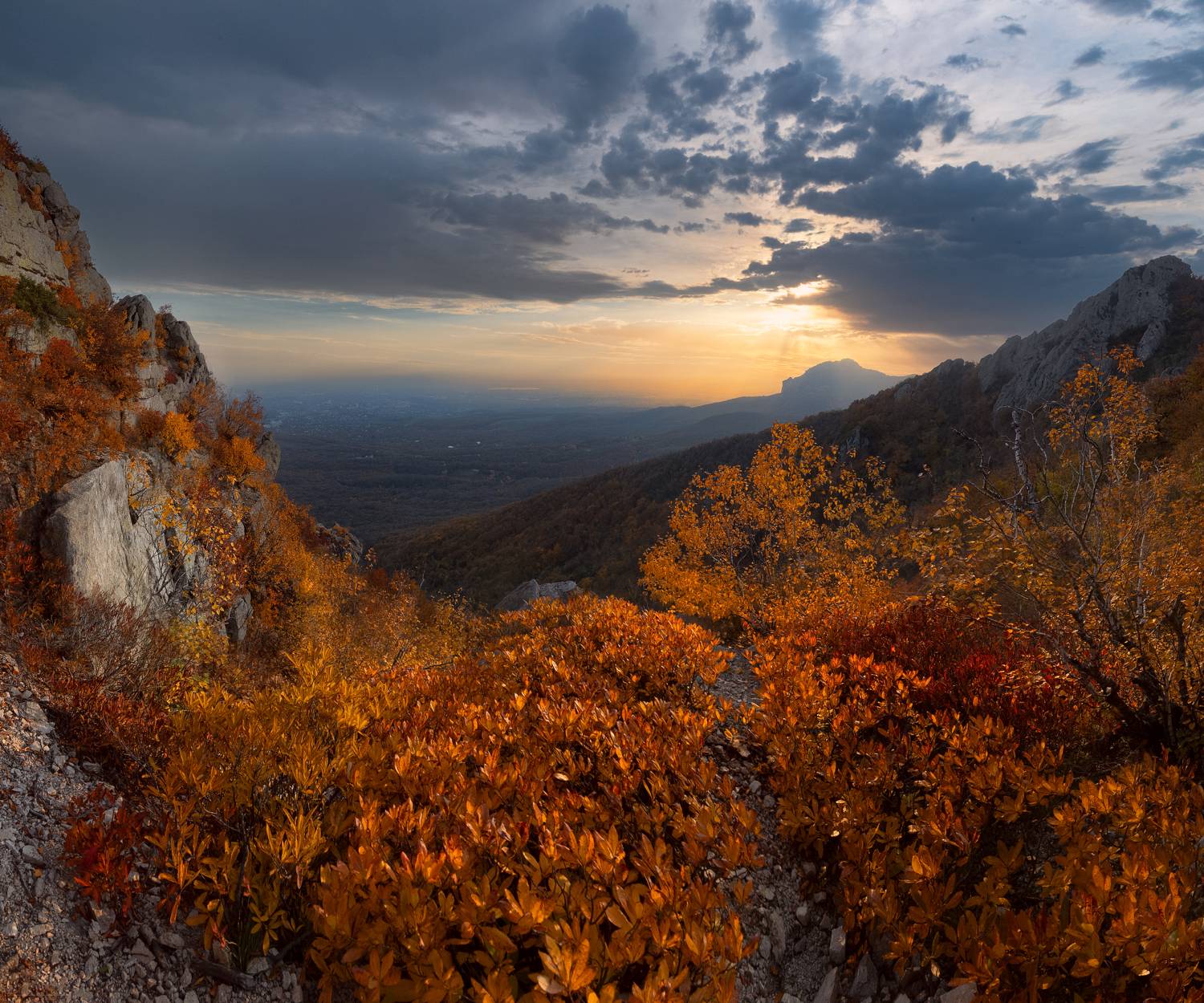 бештау,пейзаж,гора,кмв,рододендроны, Елена Брежицкая