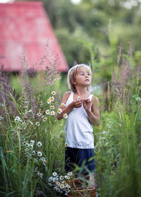 лето, ромашки, деревенские истории, свидание,беларусь, ирина горюкина Любит?) фото превью
