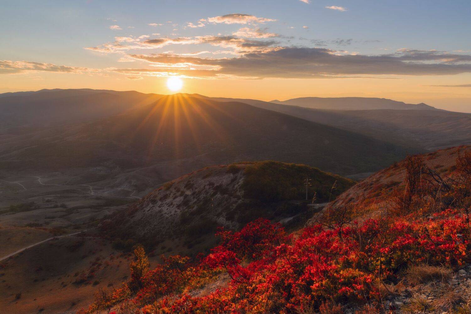 , Юлия Мальцева