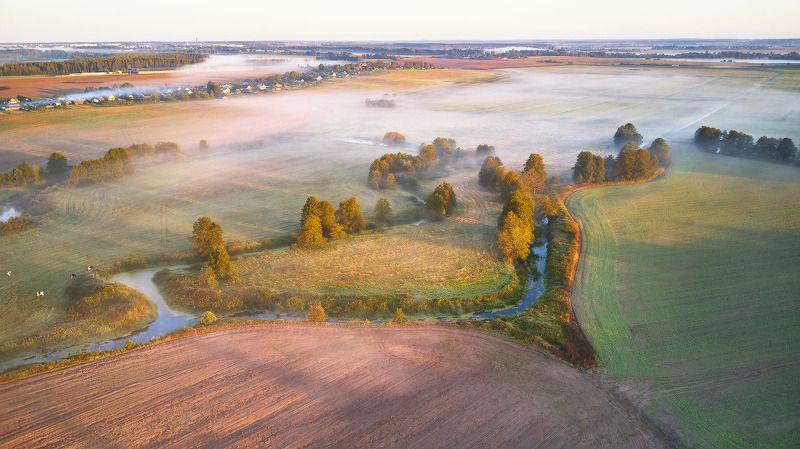 беларусь, деревня, дорога, осень, поля, рассвет, река, сентябрь, туман, уса, утро Уса. Начало Теплой Осени фото превью