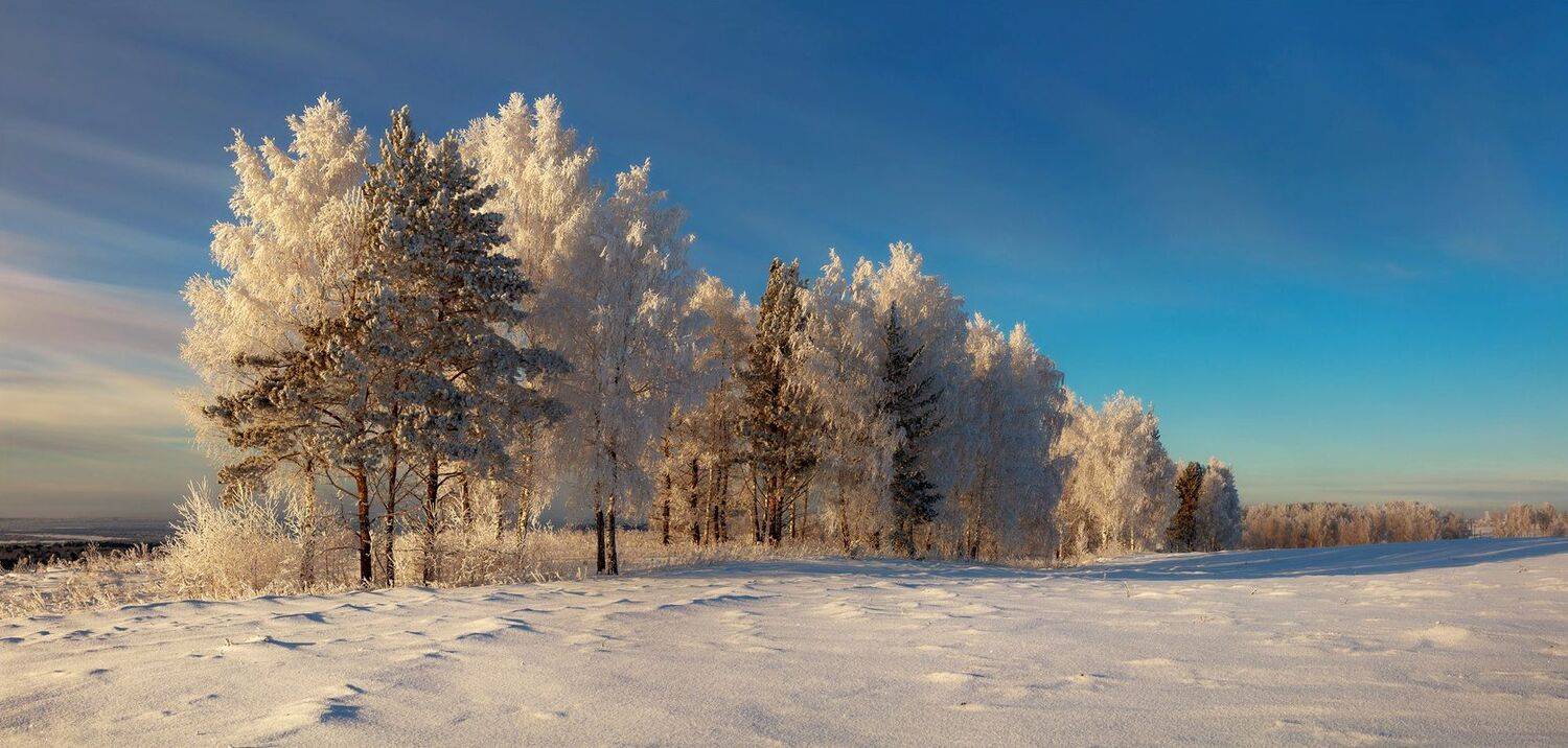 , Алексей Хахлов