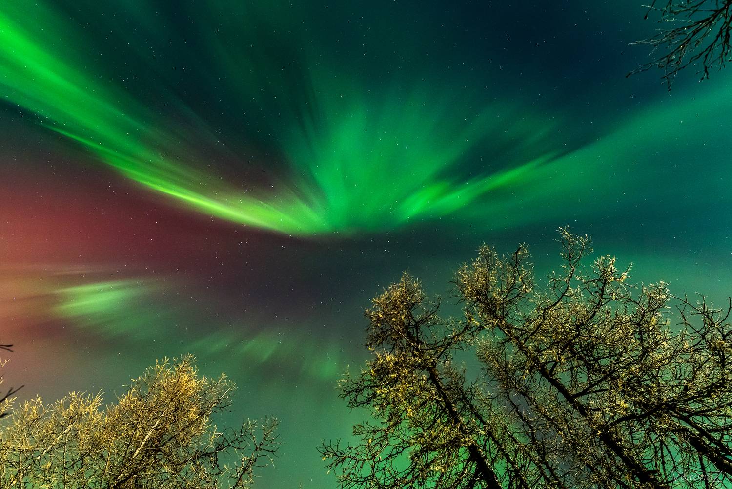 северное сияние, полярное сияние, заполярье, aurora borealis, polar lights, Куликов Виктор