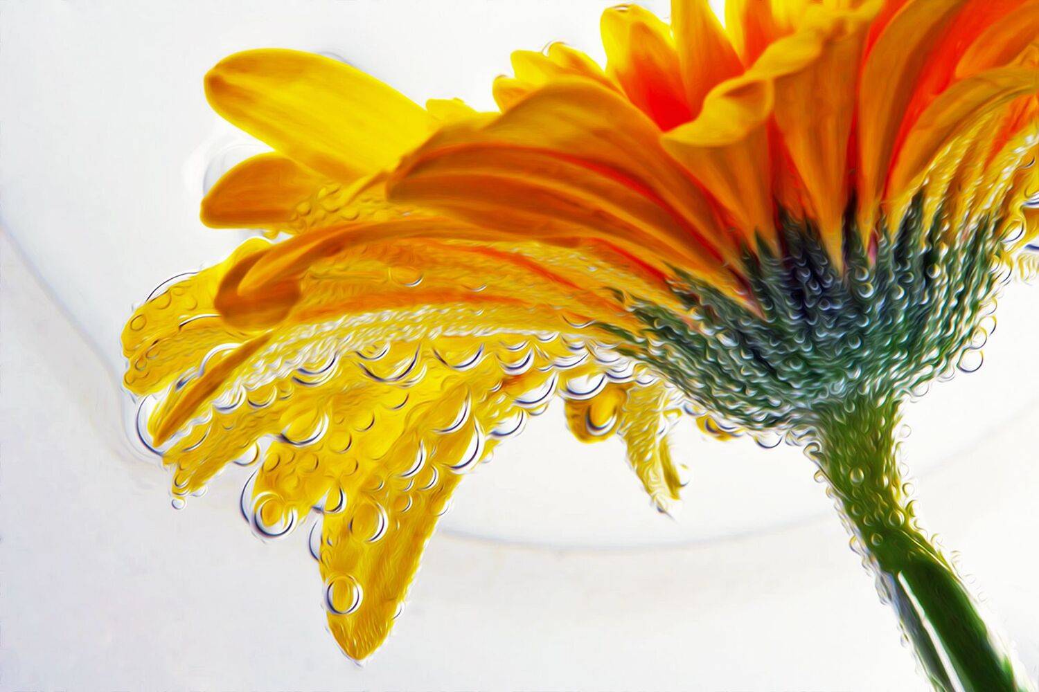 , Андрей Петросян