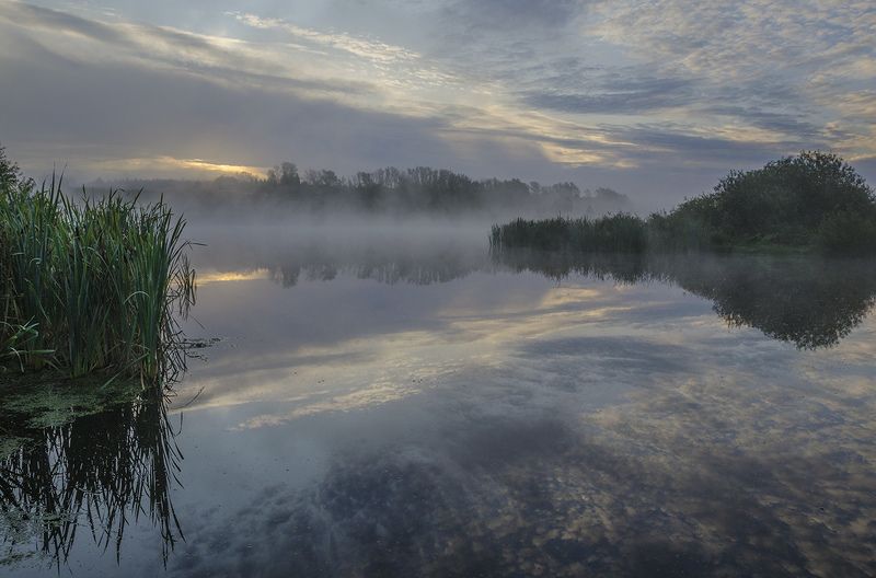 Архангельское. В зеркальном отражении фото превью