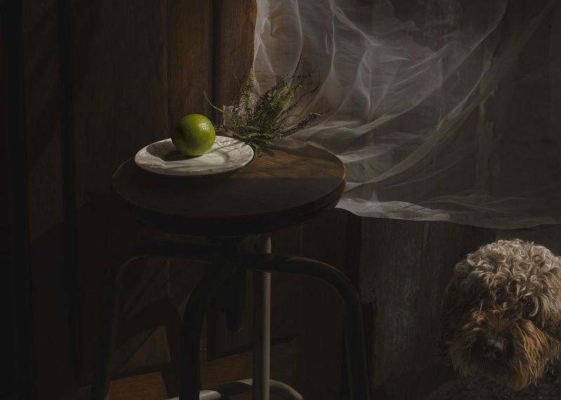 Stasya and lime фото превью