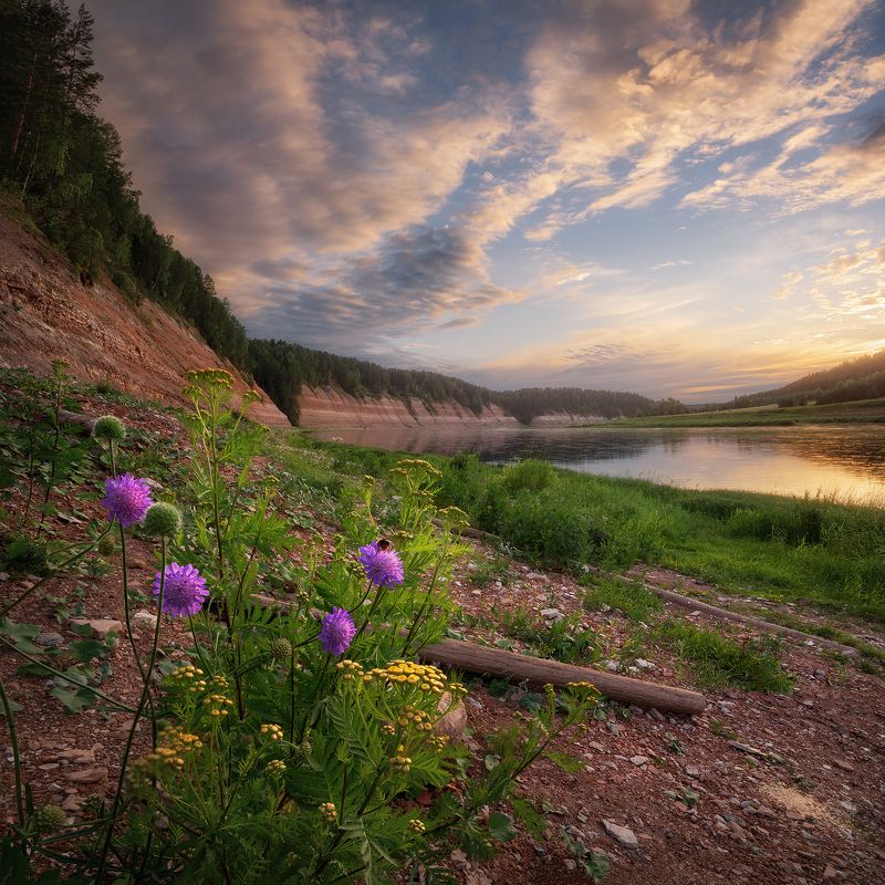 Берега Сухоны фото превью