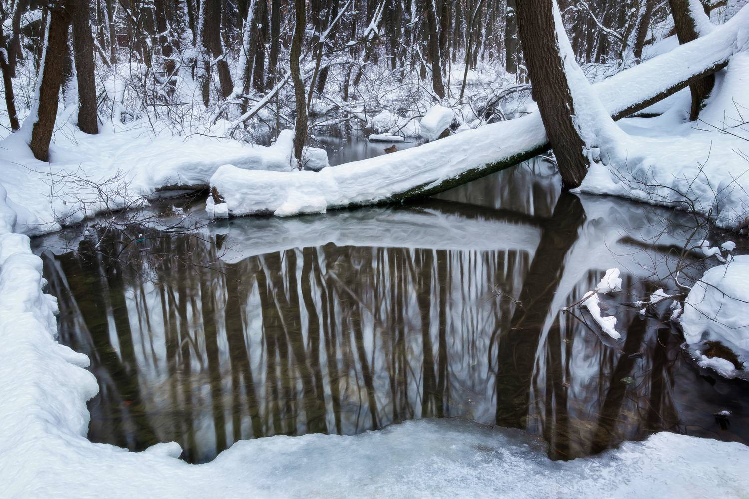 лес, зима, деревья, ручей, Валерий Вождаев