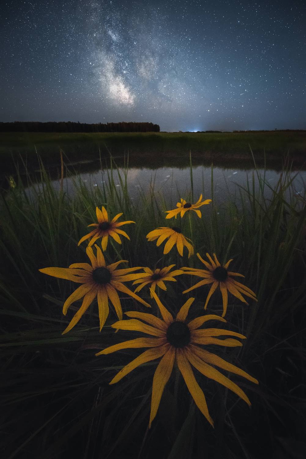 , Захаров Дмитрий