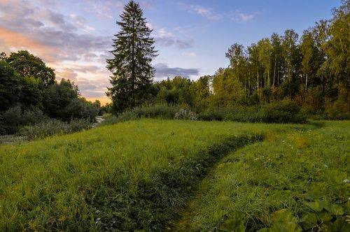 Вечерняя  прогулка в Павловском парке.