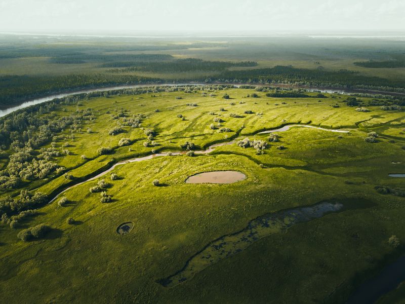 хмао, югра, север, нефтеюганск, north Green shades of the north фото превью