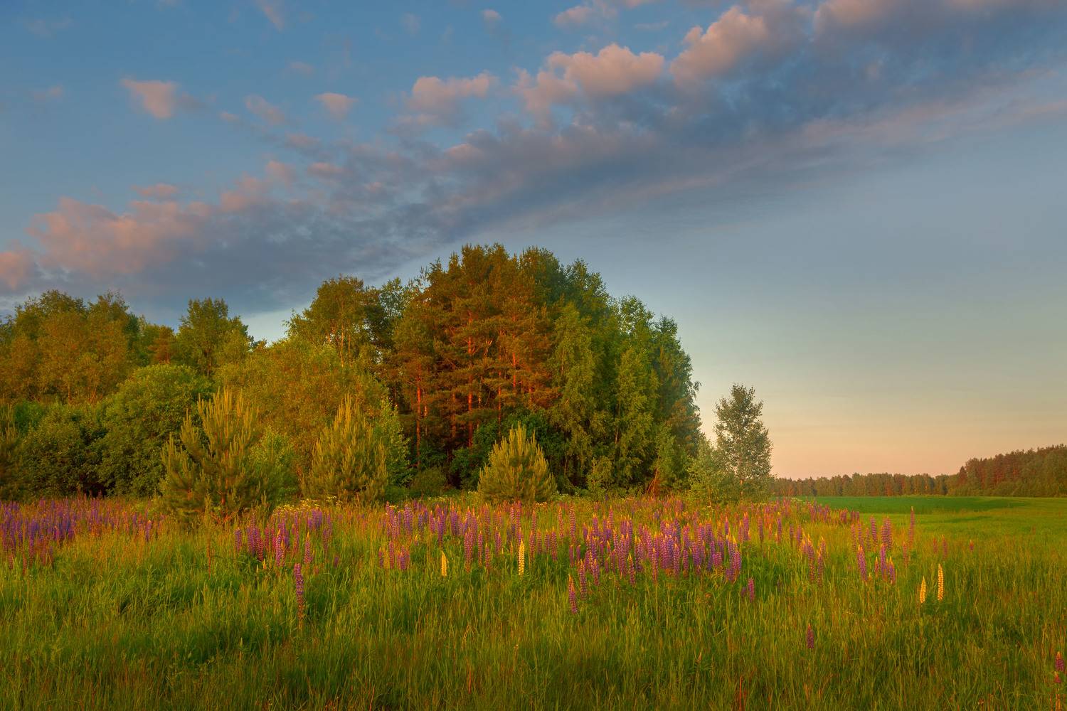 Фототуры с Владимиром Рябковым, #topnature #russpasibo #magic_shots #lovelyRussia #sunset_vision #exclusive_sky  #exclusive_shots #loves_russia2 #photoarena_nature #nature_sultans #nature_perfection #rsa_sky #rsa_sunset #photorussia #rsa_naturepics #sunse, Владимир Рябков