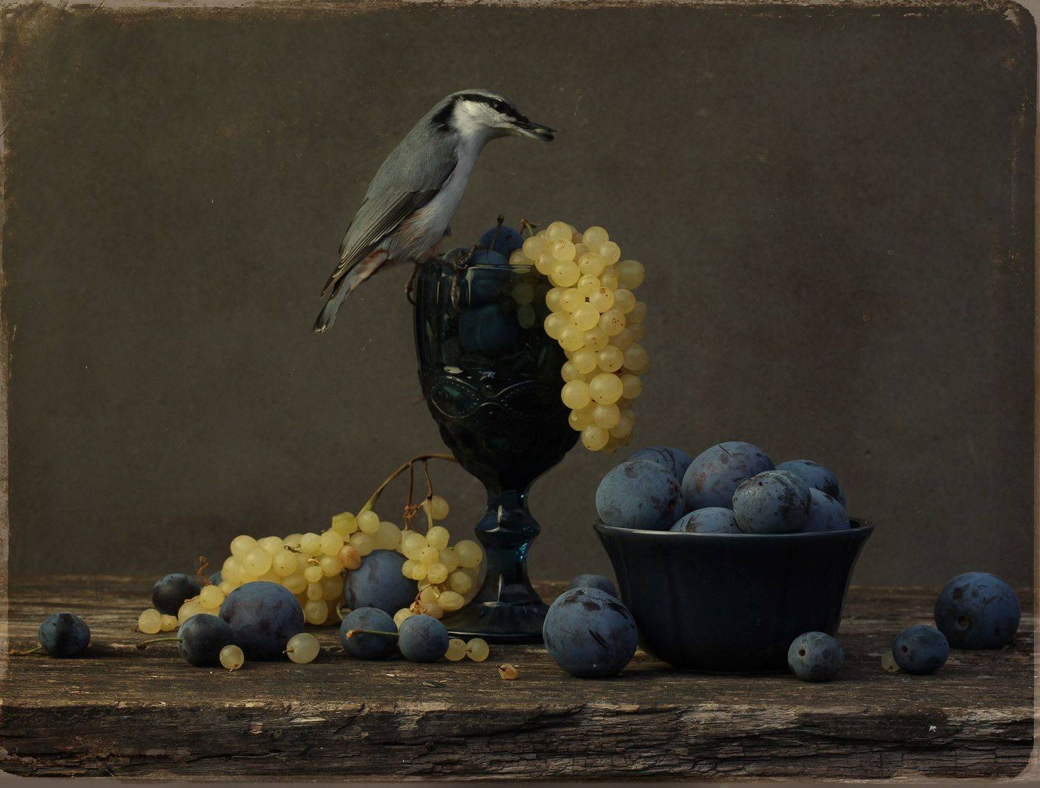 nuthatch, Хромушин Олег