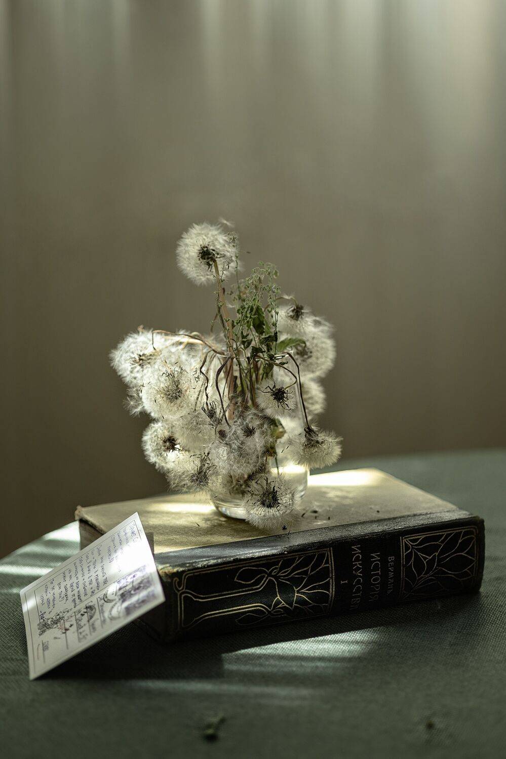 , Инна Бочарникова