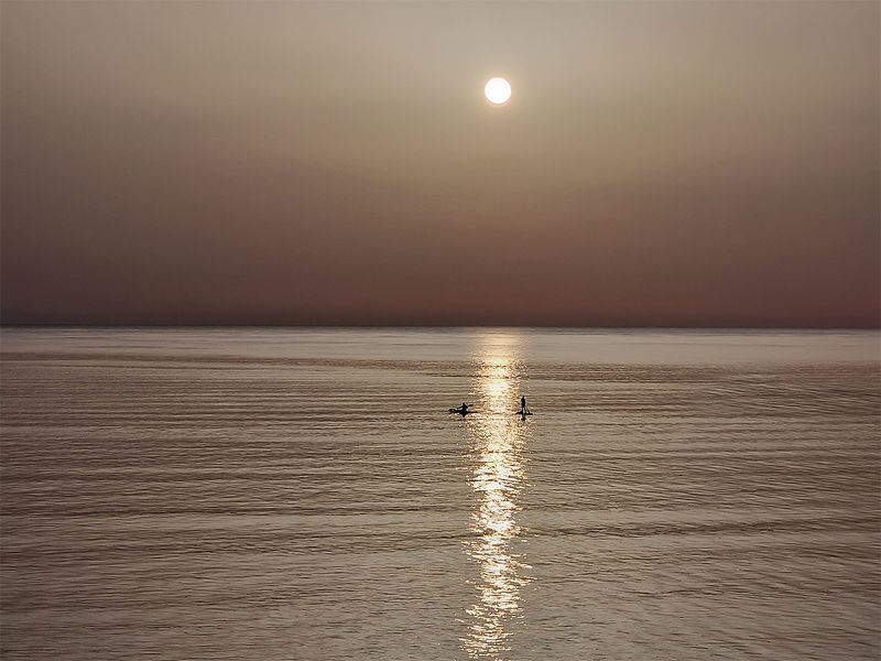 мы как былинки в этом мире фото превью