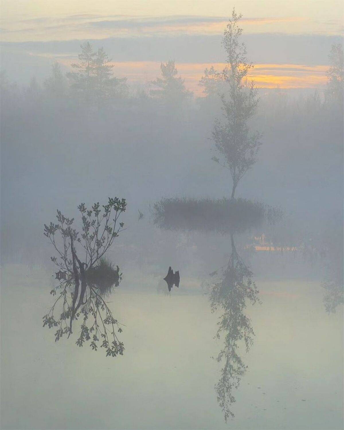 , Петр Косых