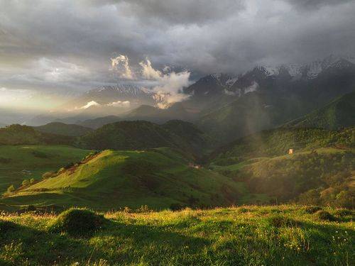 В утреннем свете
