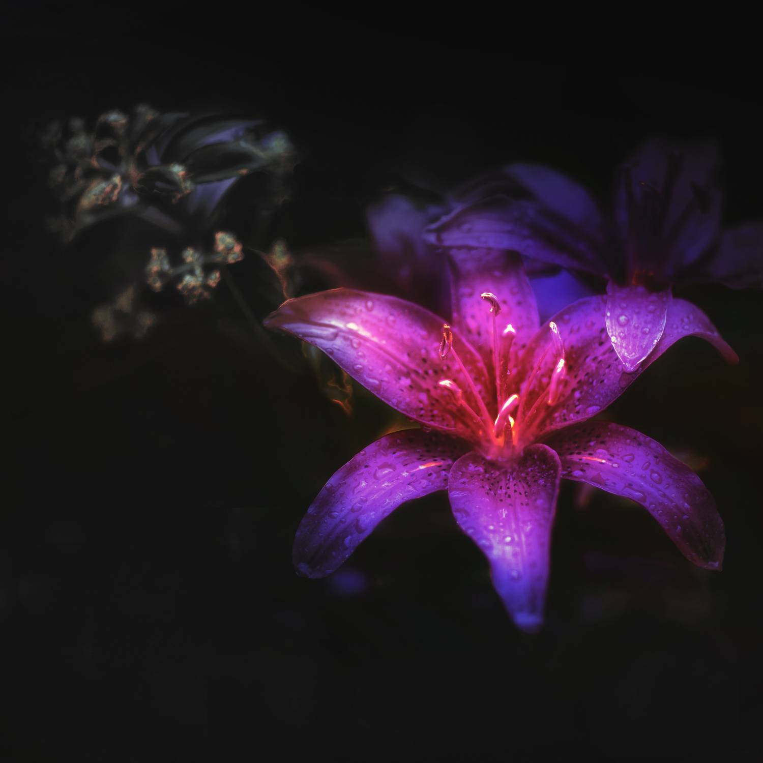 , Гуляев Алексей