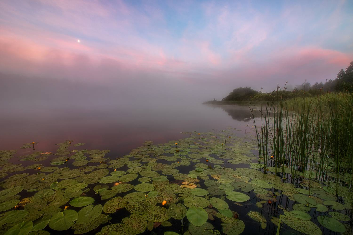 , М. Еремеев