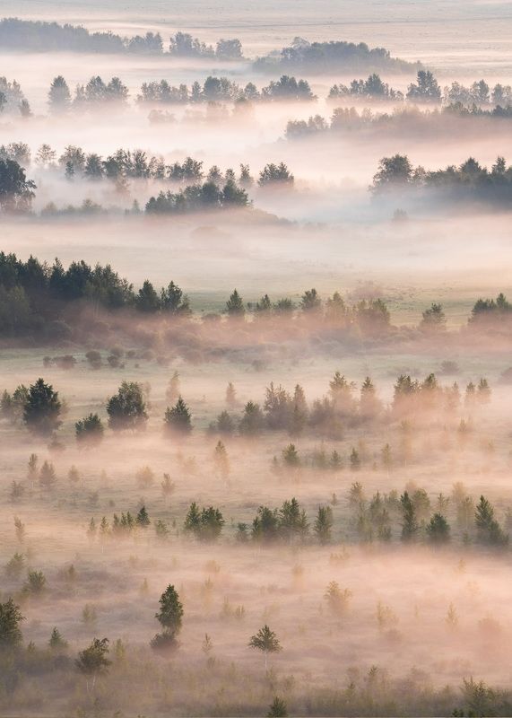 В первых лучах Хакасии…. In the first rays of Khakassia… фото превью