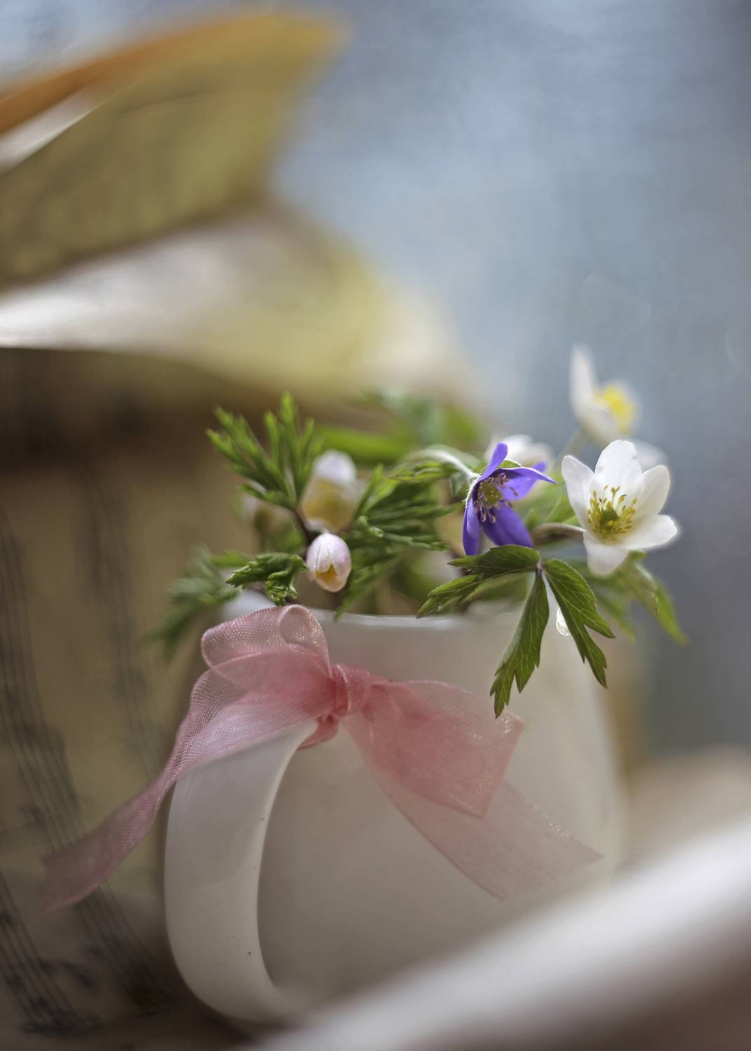 розовый бантик, молочник, беларусь ирина горюкина,о любви, ГОРЮКИНА ИРИНА