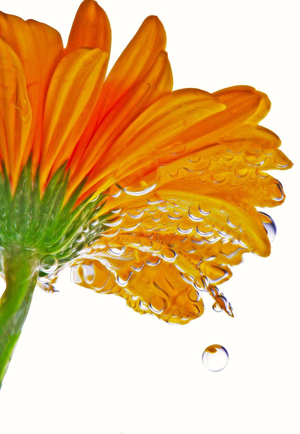 , Андрей Петросян