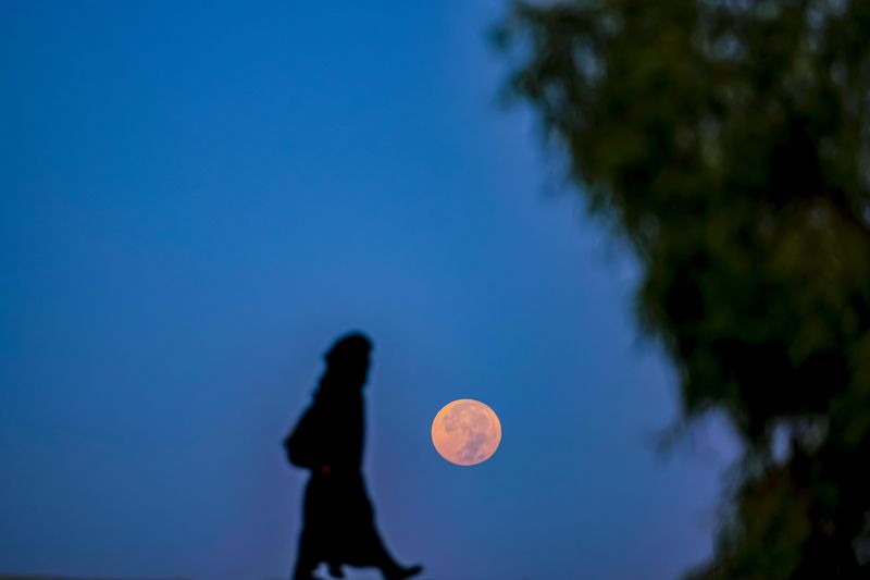 #القمر #المشاية القمر الازرق  фото превью