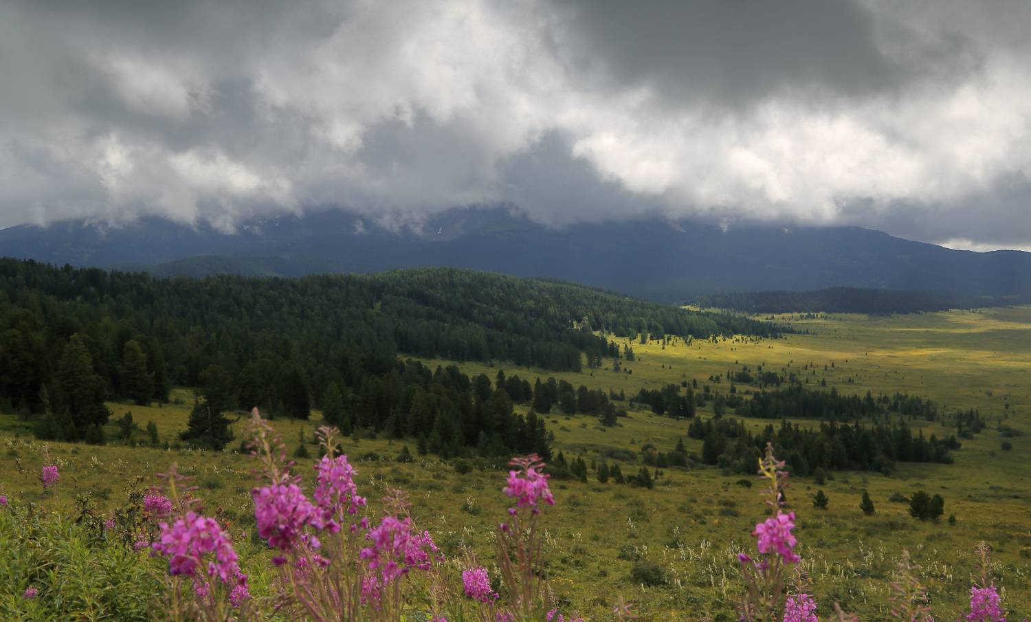 , Евгений Зинов