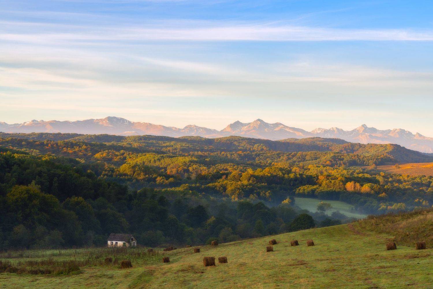 , Юлия Мальцева