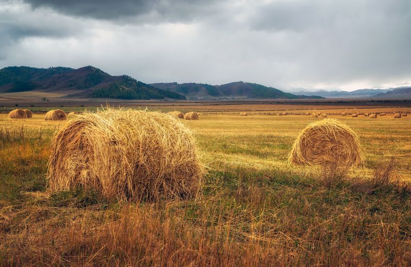 Душистые стога Канской степи фото превью