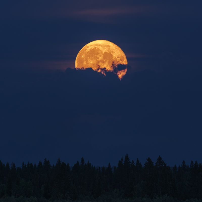 печора, коми, луна Восход Луны фото превью