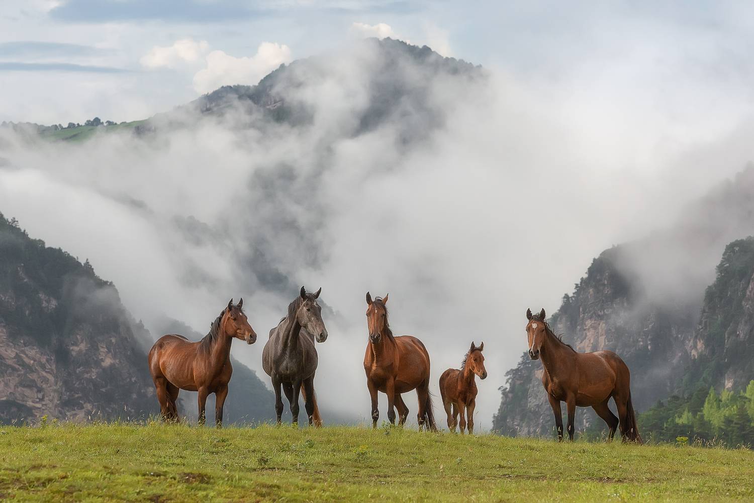 Ингушетия, горы, Константин Маланин