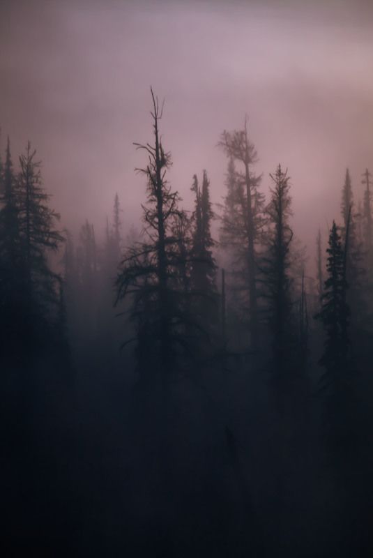 Туманные дали фото превью