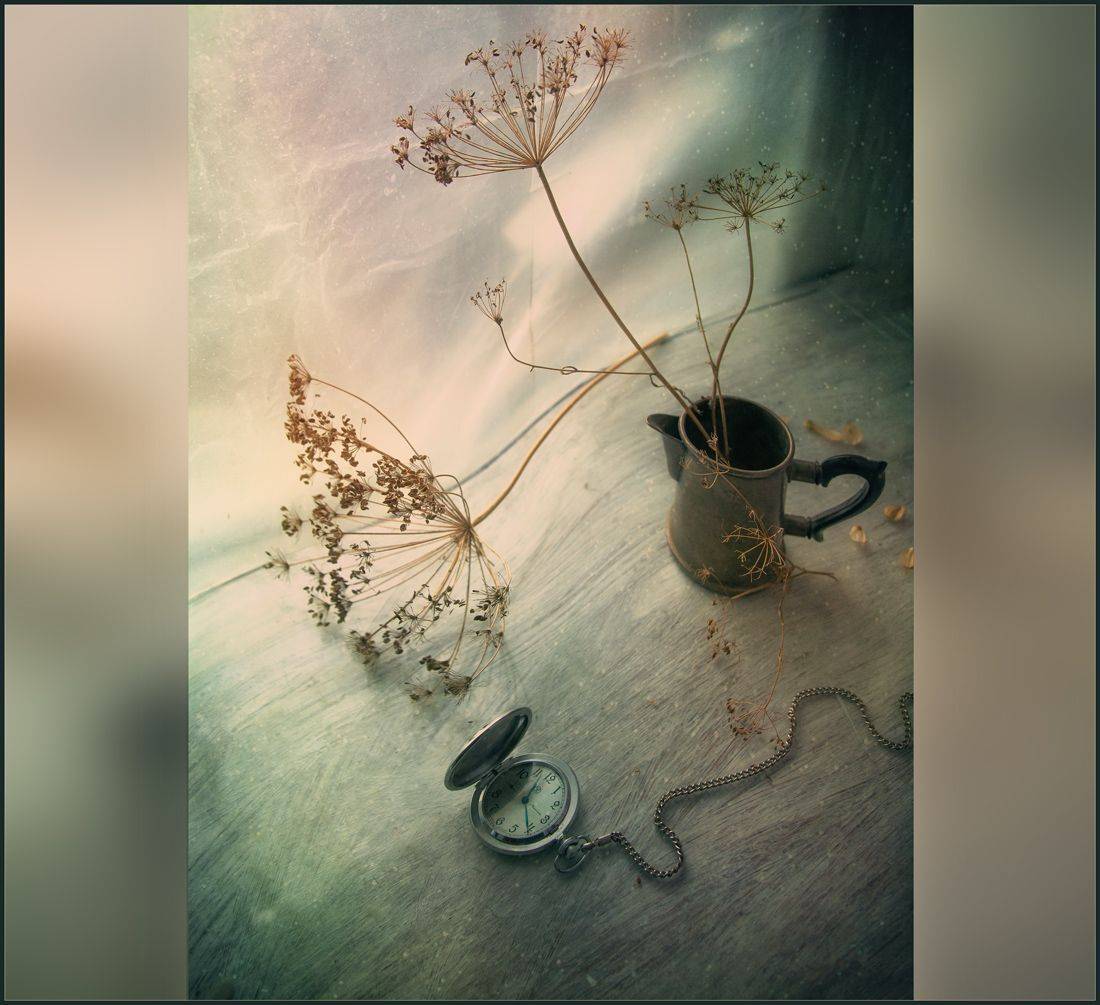 , Хромеев Александр