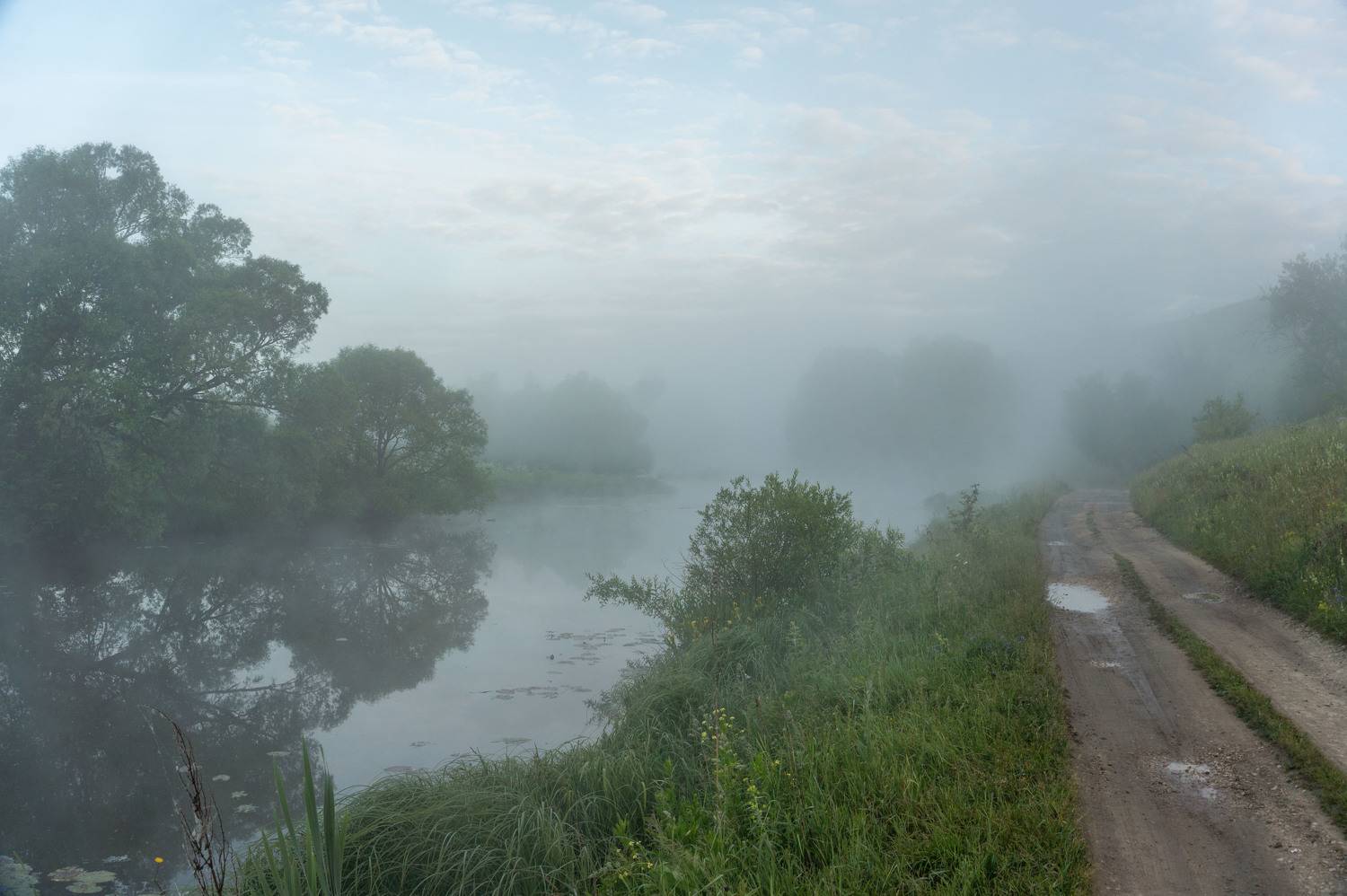 , Светлана Кондрашова