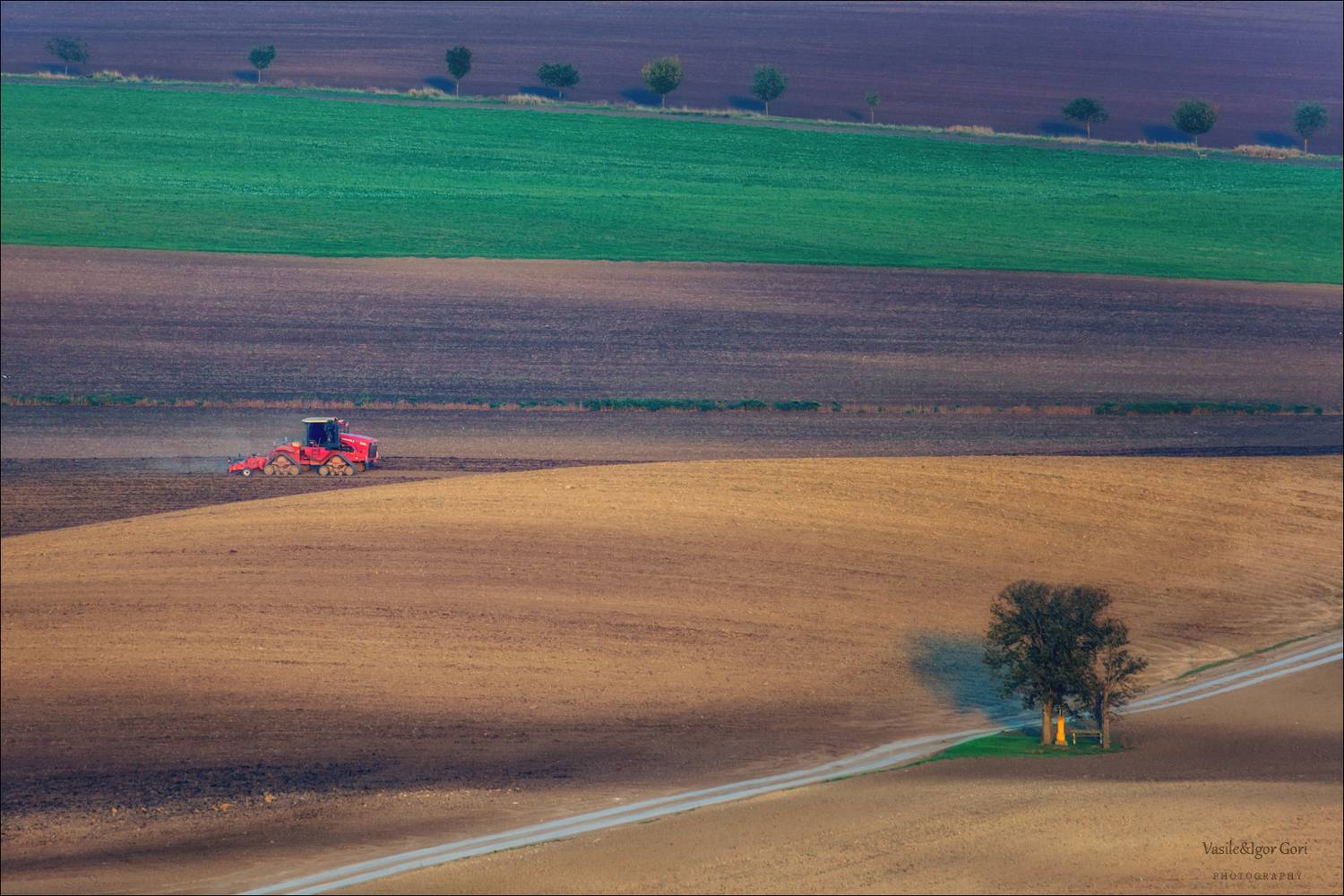 южная моравия,пейзаж,hils,линии,полевые работы,south moravian,lines,свет,czech,осень,чехия,трактор,landscapes,nature,agriculture,rural, Гори Василий