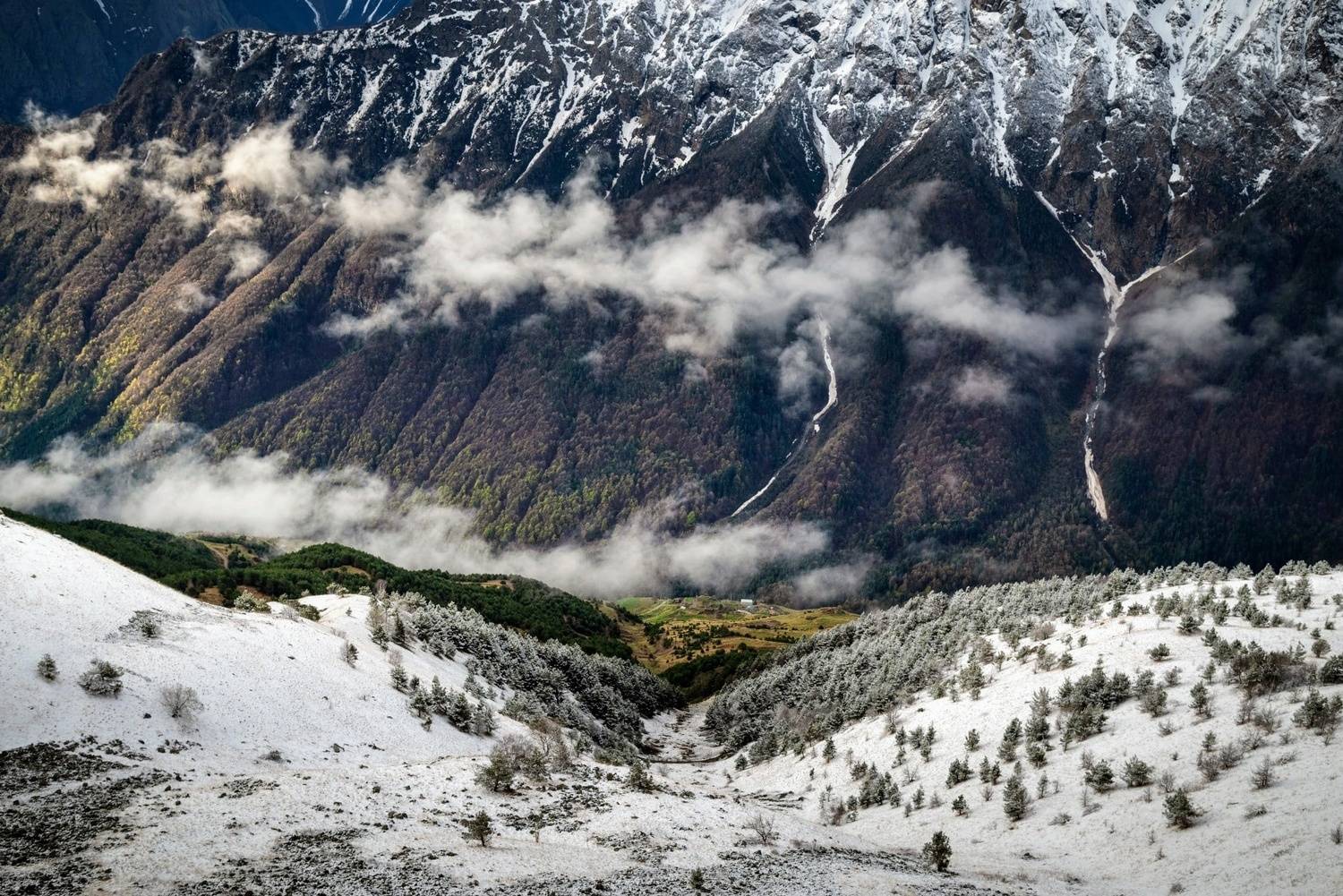 , Лесина Елена