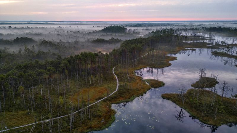 *** фото превью