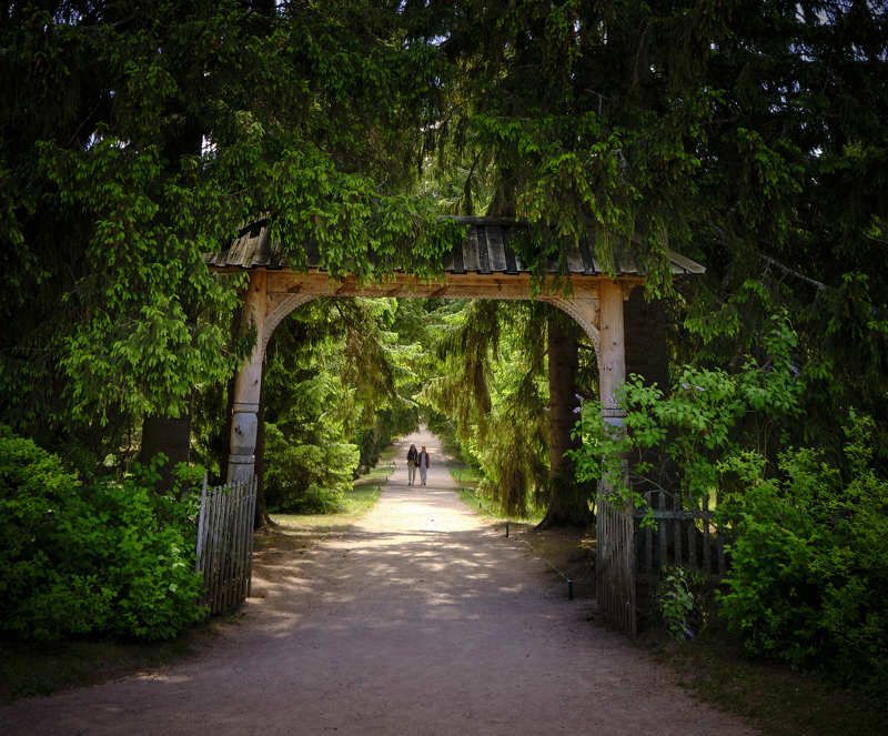 По алее.Пушкиногрье фото превью