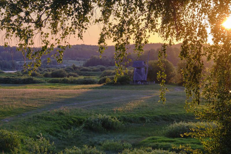 В закатных лучах фото превью