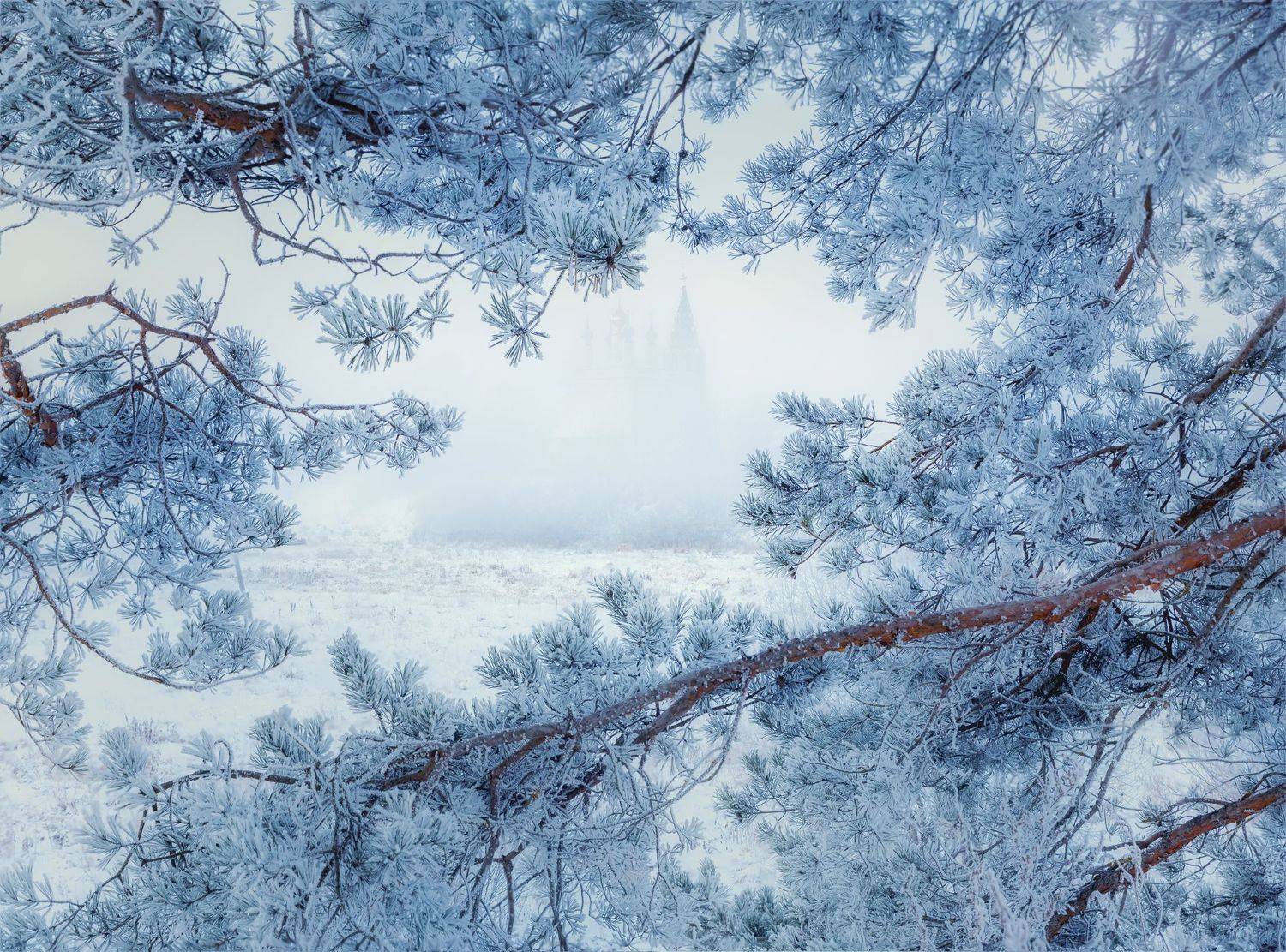 , Юлия Терехина