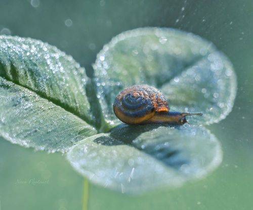 Дельтаплан