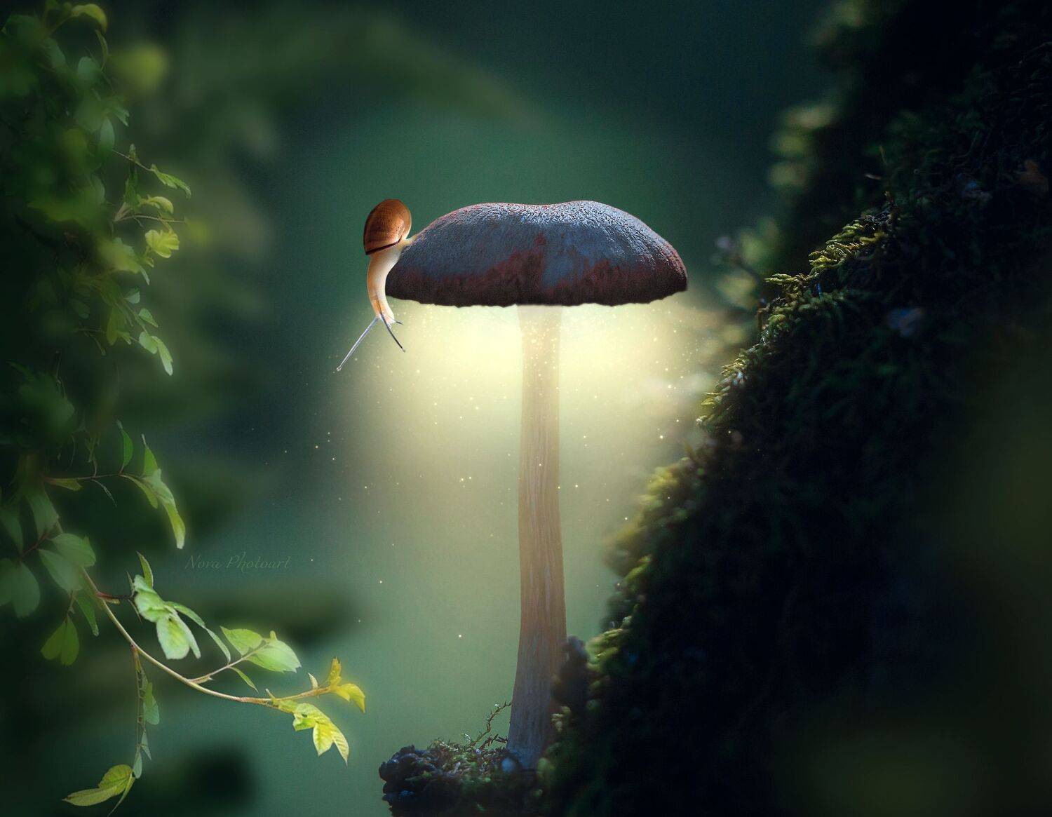 макрофотография, macro, макромир, макросъёмка, фотоприроды, nature, артфото, фотомакро, боке, мануальнаяоптика, макро, макрофото, макросъемка, красота, лес, улитка, Светлана Смирнова