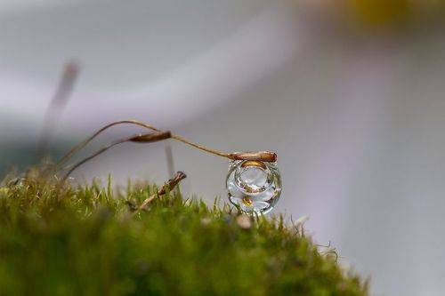 Просто капелька