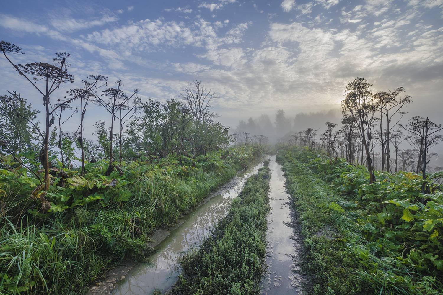 утро, дорога, архангельское, Михаил Агеев