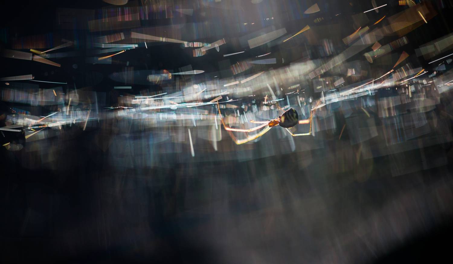 , Викулов Николай